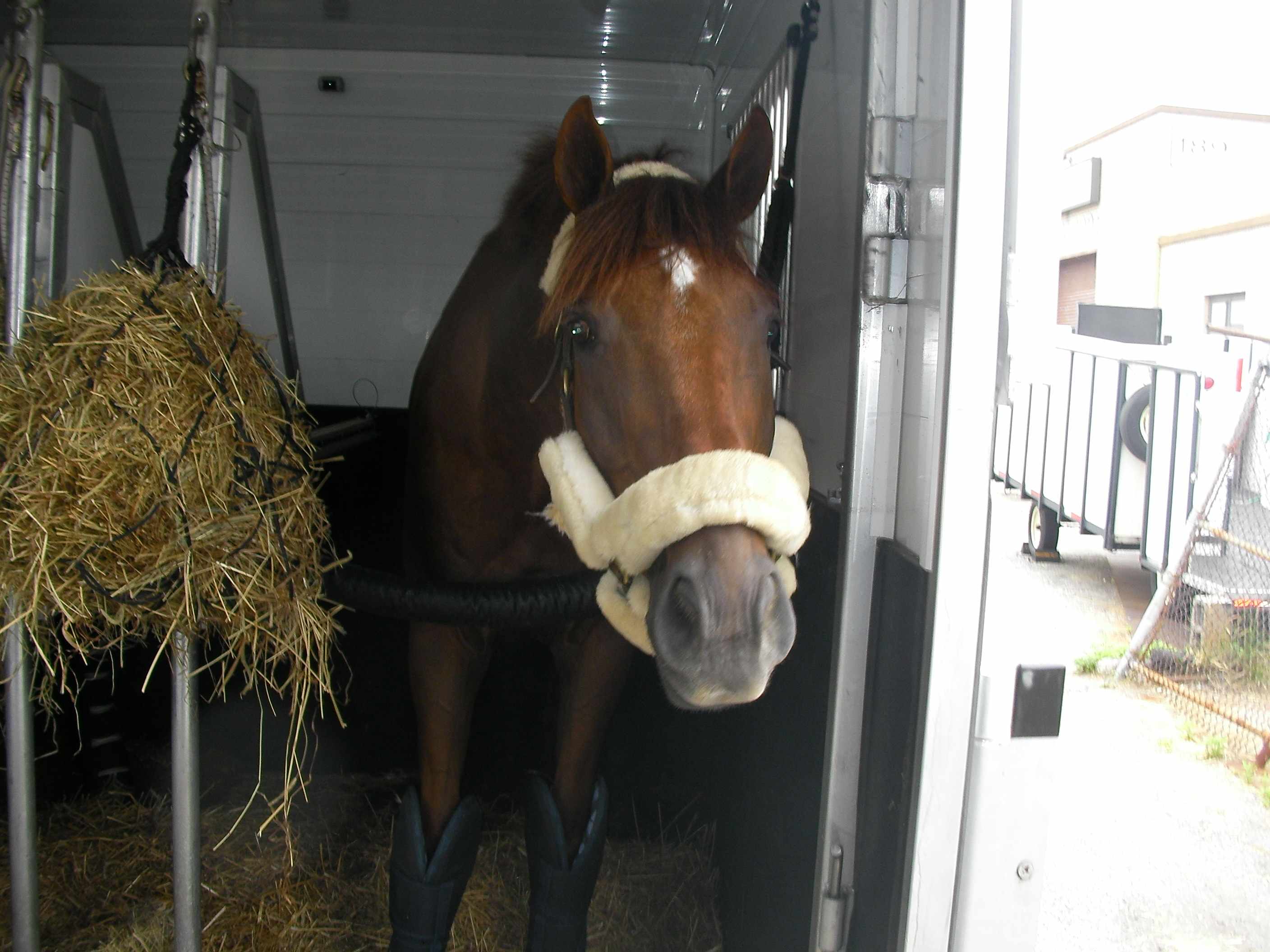 Arthur Loaded on Brewster's Trailer. Ready to go to JFK!