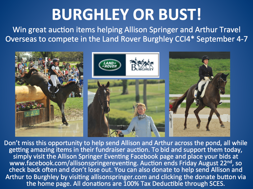 Burghley or bust flyer