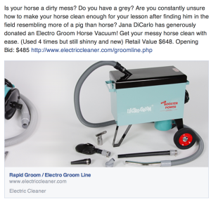 Electro Groom Horse Vacuum- Current High BId- $485