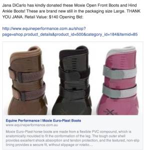 Moxie Open Front Boots-Current High Bid:$90