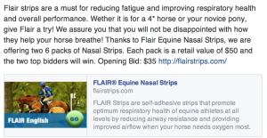 Flair Nasal Strips- Current High Bid: $35