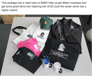 Guardian Bedding Swag Bag Retail Value: $350 current high bid: $240 